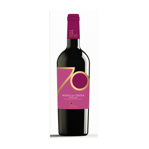 Nero di Troia Puglia IGP 2022 "Linea 70" Cantine Falcone